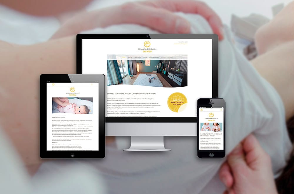 Designtiger Webdesign Wien Website Gestaltung von Webdesigner Wien