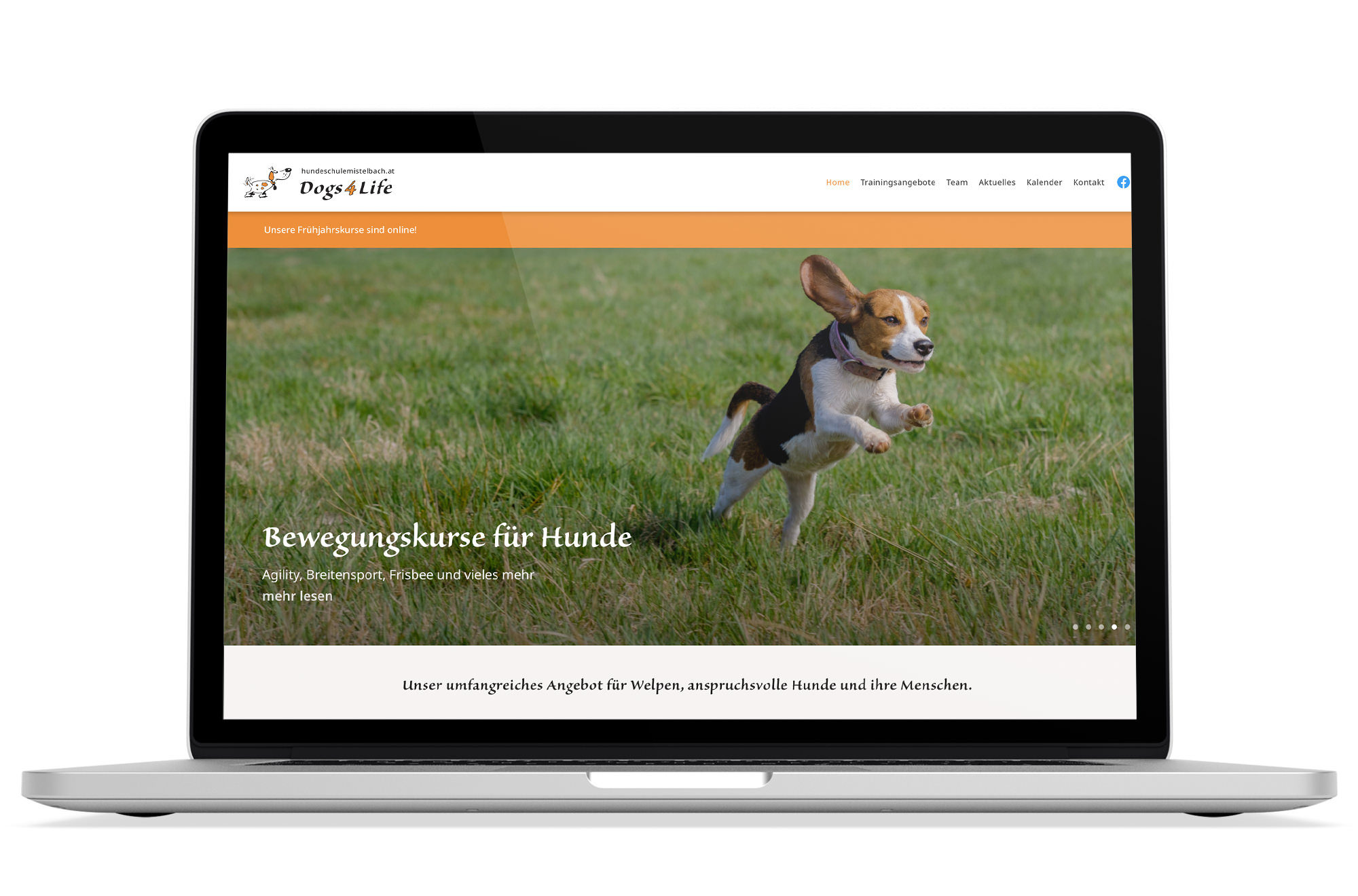 Webdesign Beispiel: Responsive Webdesign, WordPress für Hunde-Training