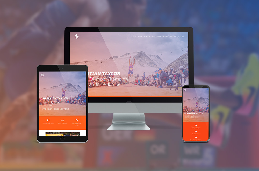 Designtiger Webdesign Wien Website Gestaltung von Webdesigner Wien