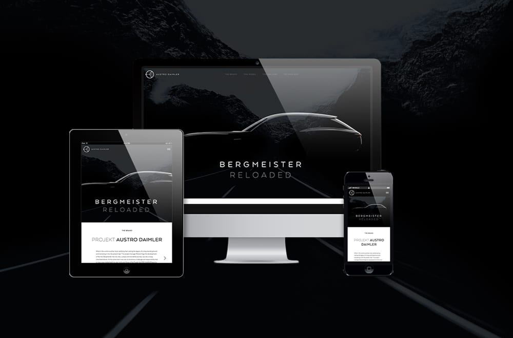 Designtiger Webdesign Wien Website Gestaltung von Webdesigner Wien